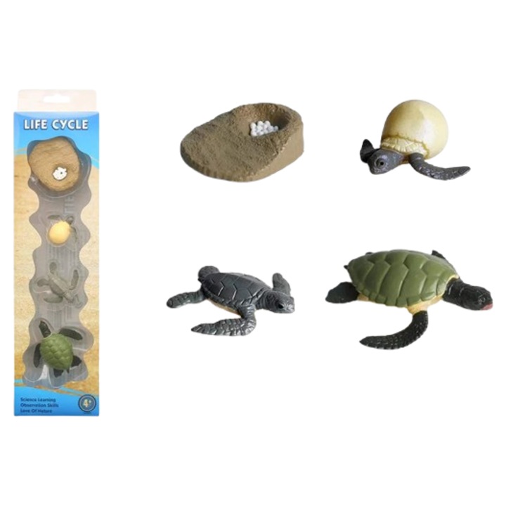 4 mini-figurine broasca testoasa din plastic figurina animal ciclul vietii figurina Montessori 36x9x4 cm