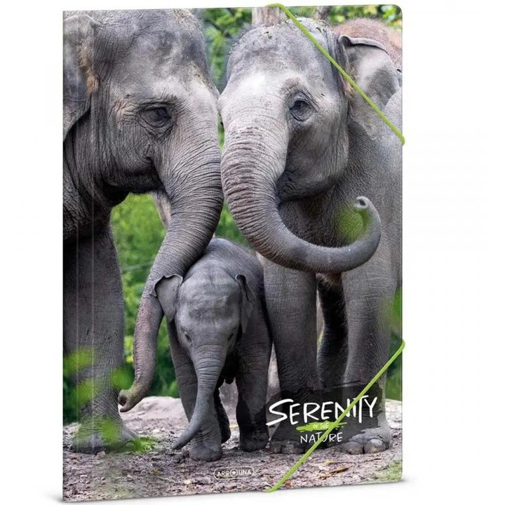 Ars Una: Serenity  Elefánt A/4 gumis dosszié