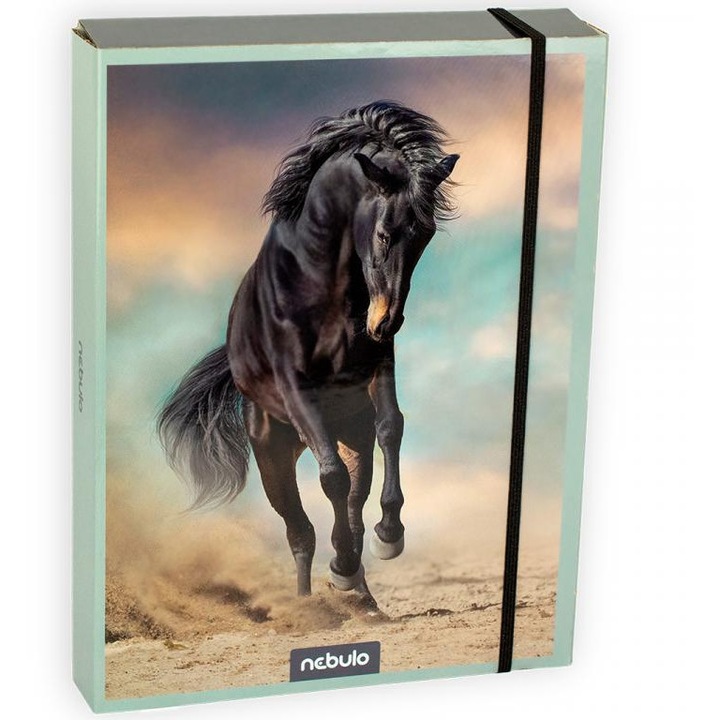 Dosar Nebulo: A/5 cu model ecvestru