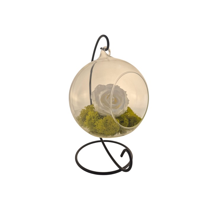 Glob din sticla suspendat cu trandafir criogenat Alb si licheni Verde Deschis, 20x12cm, FloraVelle