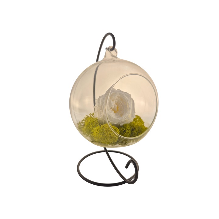 Glob din sticla suspendat cu trandafir criogenat de Gradina Alb si licheni Verde Deschis, 20x12cm, FloraVelle