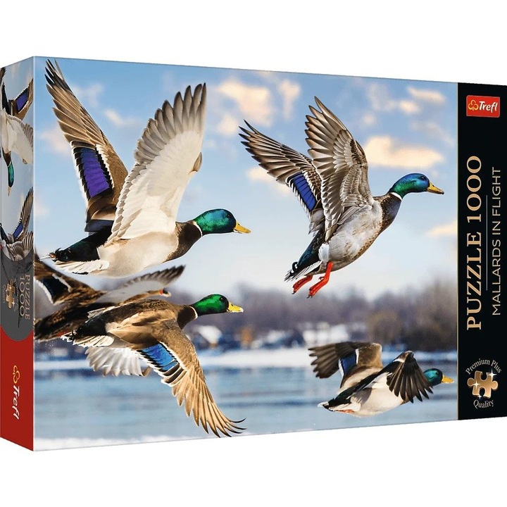 Puzzle Trefl 1000 Premium Plus, rate sălbatice în zbor, multicolor, pentru 12+ ani