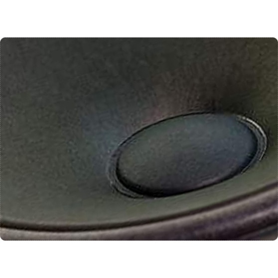 Subwoofer Tonsil GDN 20/40 8 Ohm, 40W, membrana din celuloza