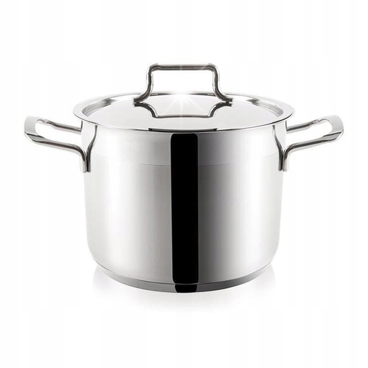 Oala din otel inoxidabil Orion Anett, 20 cm, 4,6L, cu capac, argintie, profesionala