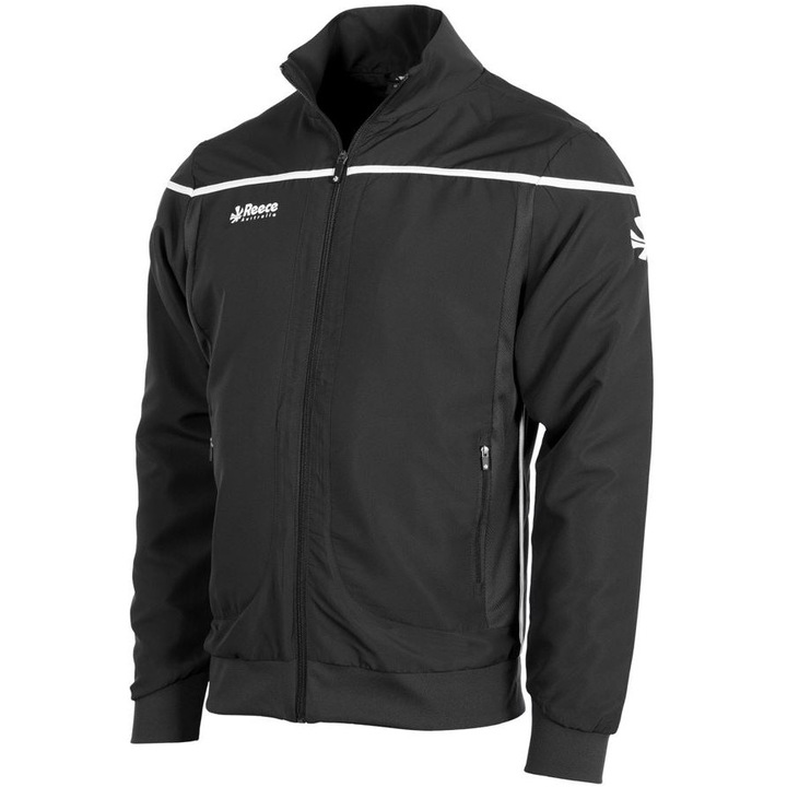 Cana Mercedes F1 FW GR, 310 ML, albastra