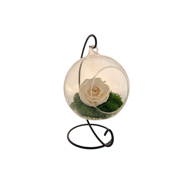 Glob din sticla suspendat cu trandafir criogenat Champagne si licheni Verde, 20x12cm, FloraVelle