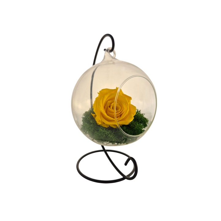 Glob din sticla suspendat cu trandafir criogenat Galben si licheni Verde, 20x12cm, FloraVelle