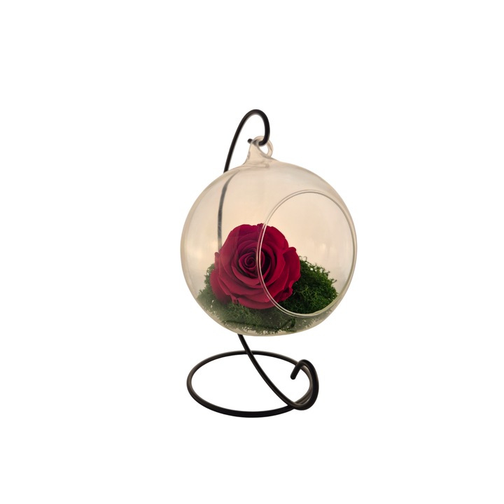 Glob din sticla suspendat cu trandafir criogenat Rosu si licheni Verde, 20x12cm, FloraVelle