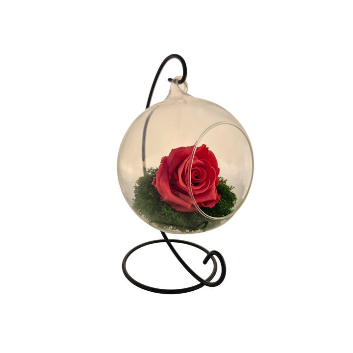 Glob din sticla suspendat cu trandafir criogenat Roz Inchis si licheni Verde, 20x12cm, FloraVelle