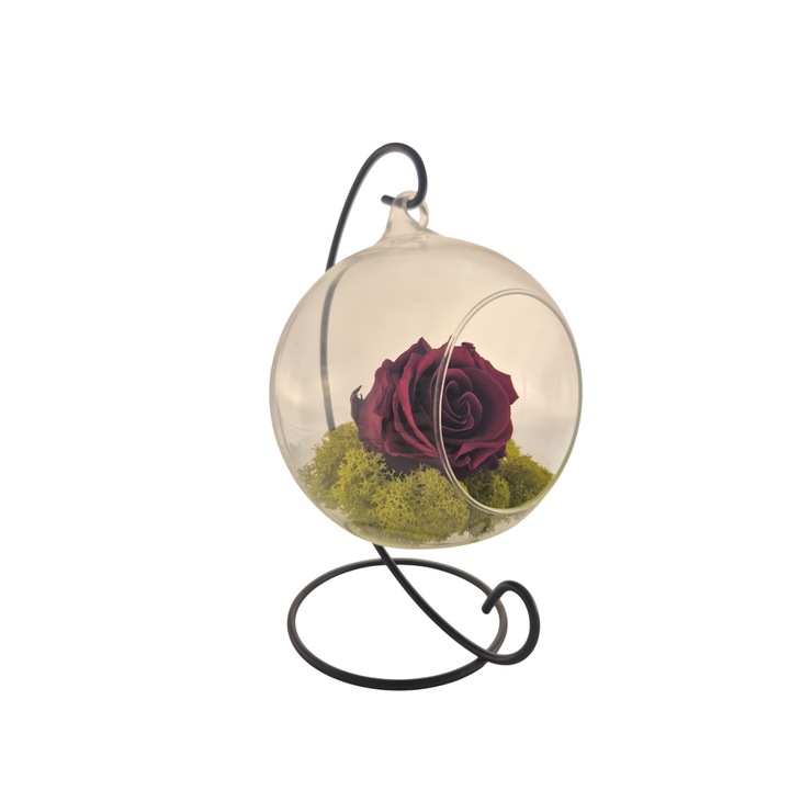Glob din sticla suspendat cu trandafir criogenat Burgundy si licheni Verde Deschis, 20x12cm, FloraVelle