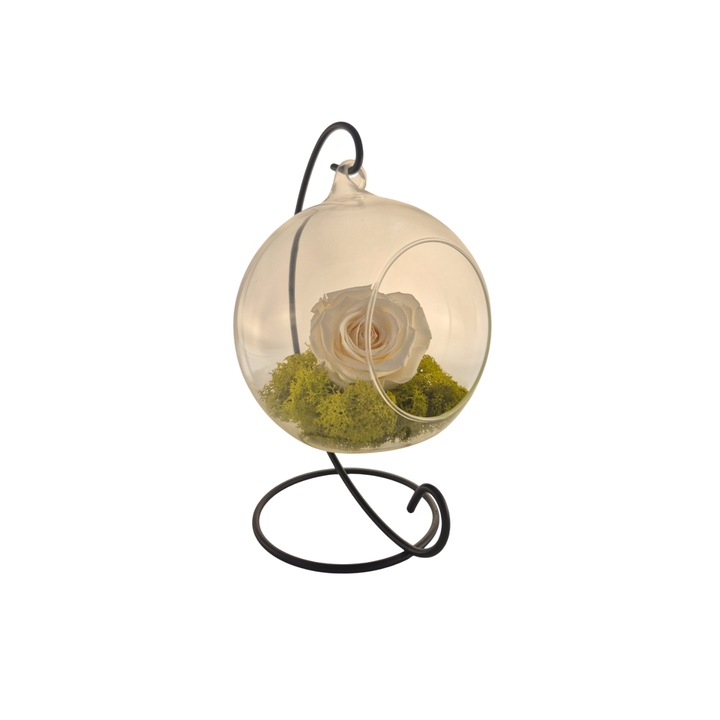 Glob din sticla suspendat cu trandafir criogenat Champagne si licheni Verde Deschis, 20x12cm, FloraVelle