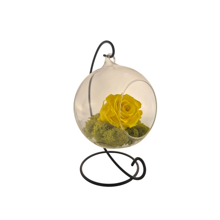Glob din sticla suspendat cu trandafir criogenat Galben Aprins si licheni Verde Deschis, 20x12cm, FloraVelle