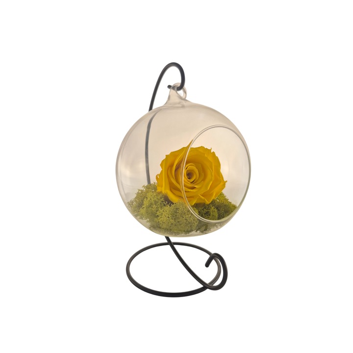 Glob din sticla suspendat cu trandafir criogenat Galben si licheni Verde Deschis, 20x12cm, FloraVelle