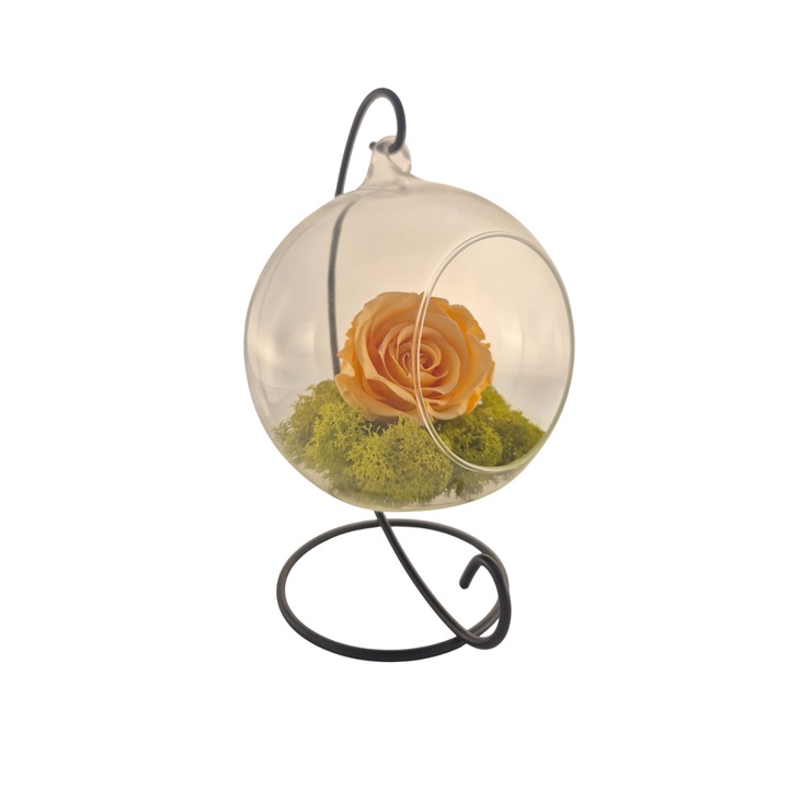 Glob din sticla suspendat cu trandafir criogenat Peach si licheni Verde Deschis, 20x12cm, FloraVelle