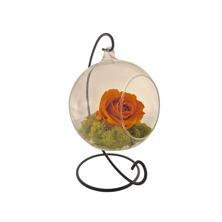 Glob din sticla suspendat cu trandafir criogenat Portocaliu si licheni Verde Deschis, 20x12cm, FloraVelle