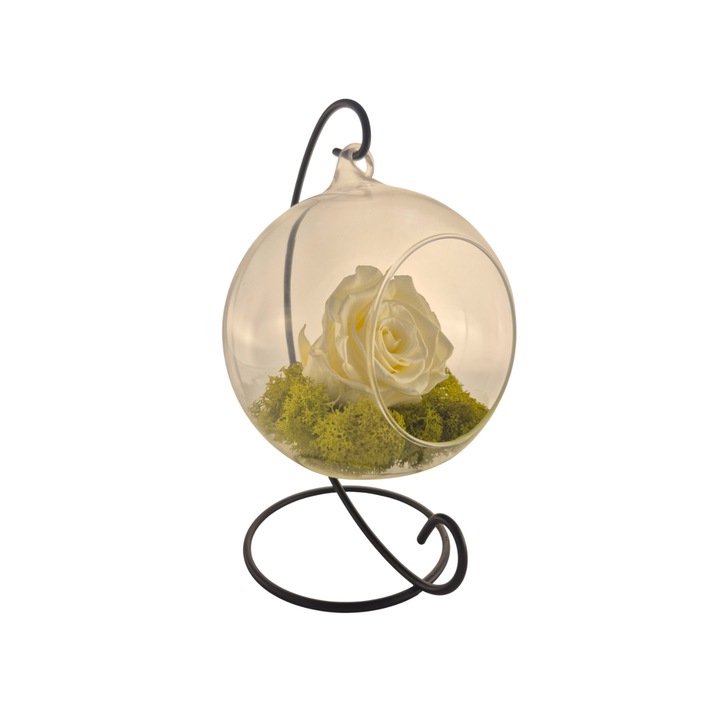 Glob din sticla suspendat cu trandafir criogenat Vanilla Cream si licheni Verde Deschis, 20x12cm, FloraVelle