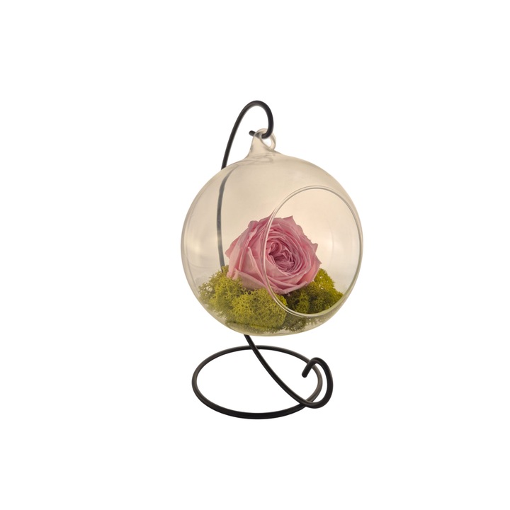 Glob din sticla suspendat cu trandafir criogenat de Gradina Roz Pastel si licheni Verde Deschis, 20x12cm, FloraVelle