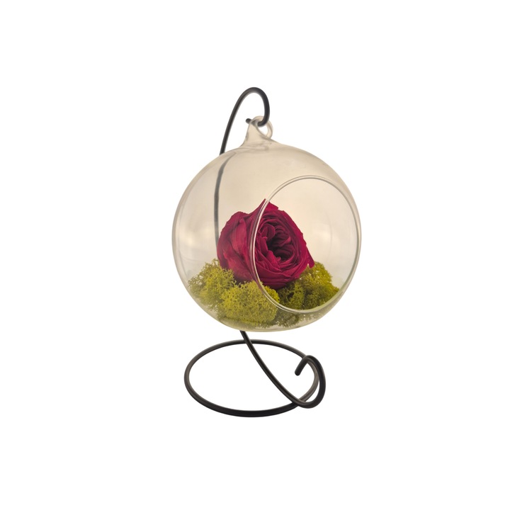 Glob din sticla suspendat cu trandafir criogenat de Gradina Rosu si licheni Verde Deschis, 20x12cm, FloraVelle