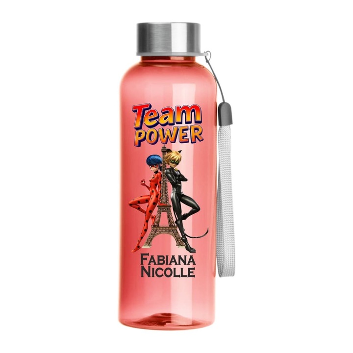 Sticla de Apa, Copii, Miraculous Ladybug, 500ml, BSC029