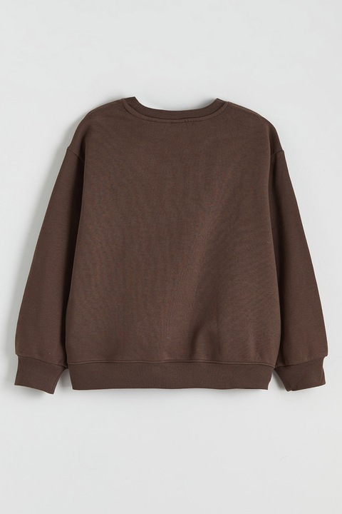 LC WAIKIKI, Bluza de trening cu imprimeu Pompompurin, Rosu/Maro inchis