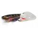 Momeala guma Fox Rage Pro Grub 8cm, multicolor, set de 1 bucata