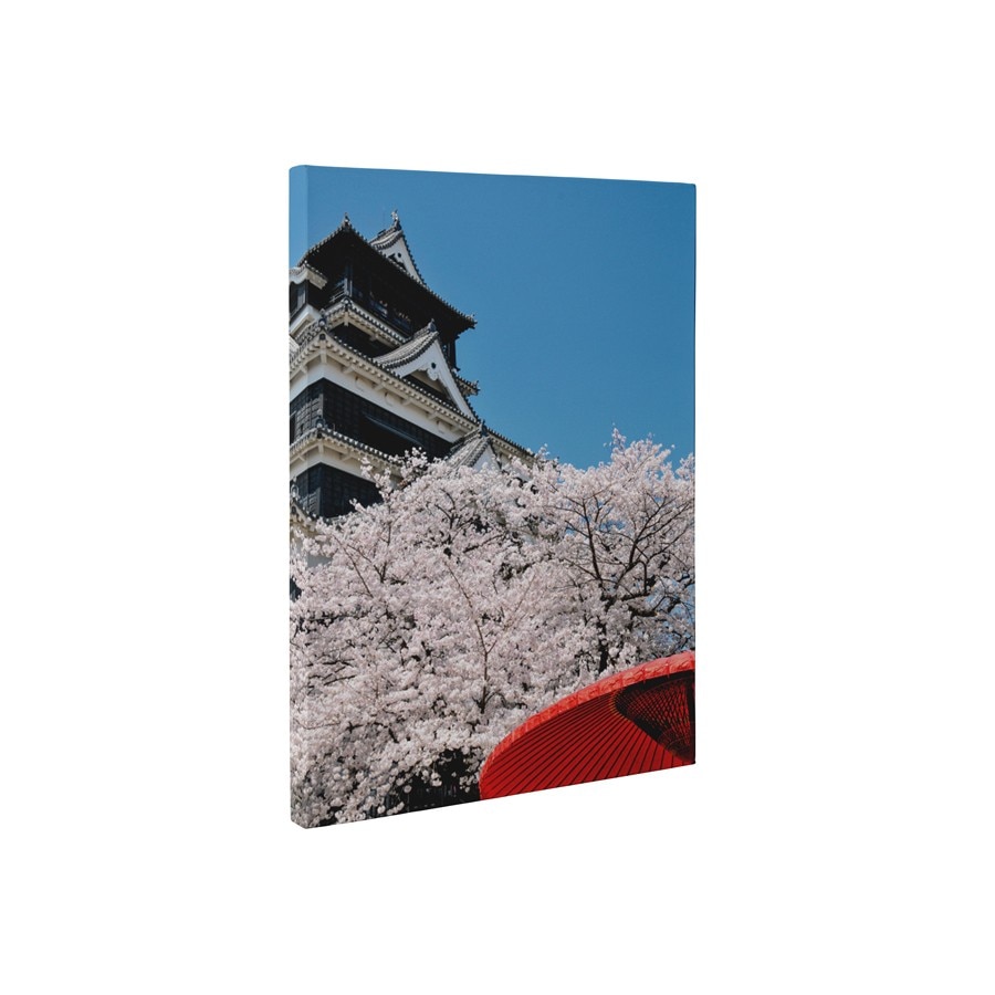 Cirese japoneze - Tablou Canvas - 60x80 cm