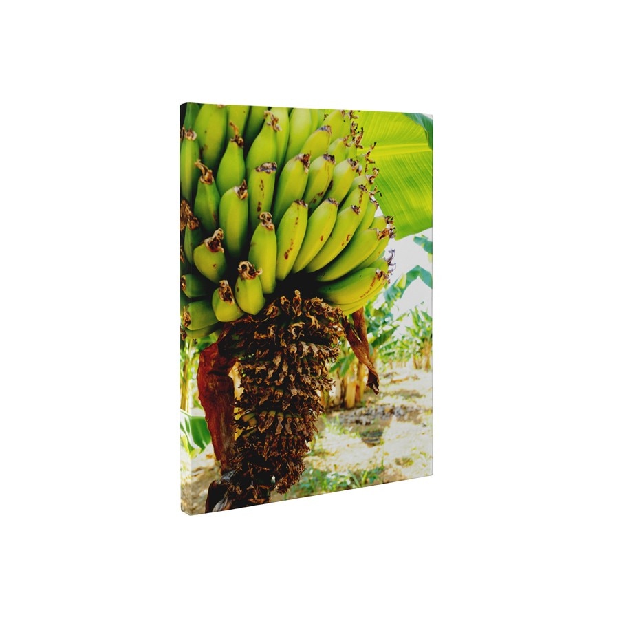 Banane - Tablou Canvas - 45x60 cm