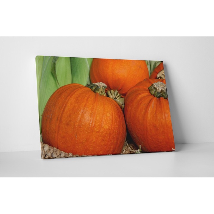 Dovleac - Tablou Canvas - 50x65 cm