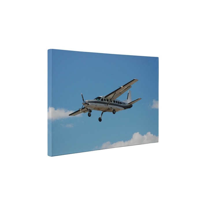 Avion Cessna - Tablou Canvas - 60x75 cm