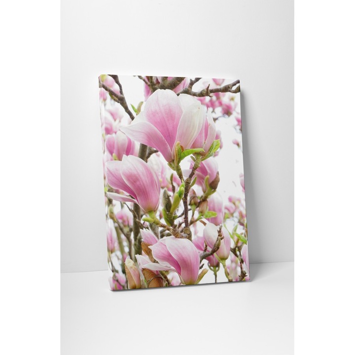 Magnolia inflorita - Tablou Canvas - 85x110 cm