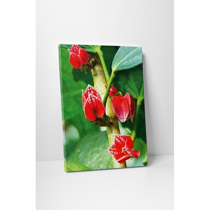 Flori tropicale - Tablou Canvas - 75x100 cm