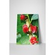 Flori tropicale - Tablou Canvas - 75x100 cm