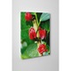 Flori tropicale - Tablou Canvas - 75x100 cm