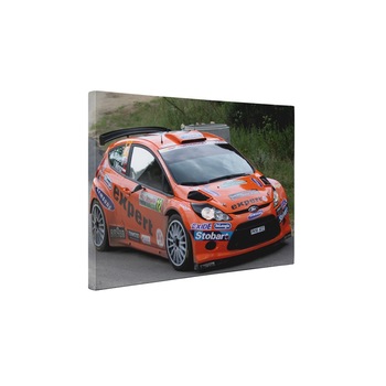 Masina raliu Ford Fiesta - Tablou Canvas - 65x85 cm Masina raliu Ford Fiesta - Tablou Canvas - 65x85 cm