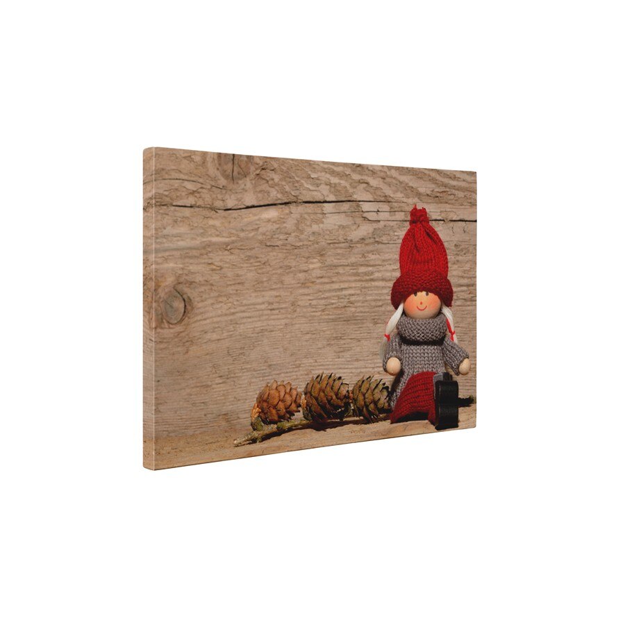 Papusa de jucarie - Tablou Canvas - 30x40 cm