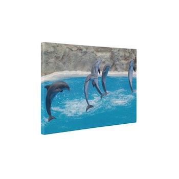 Delfini - Tablou Canvas - 65x85 cm Delfini - Tablou Canvas - 65x85 cm