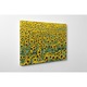 Camp invelit cu floarea soarelui - Tablou Canvas - 65x85 cm