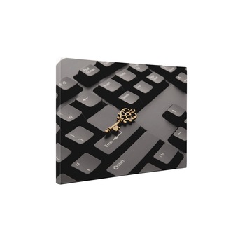 Enter - Tablou Canvas - 25x35 cm Enter - Tablou Canvas - 25x35 cm