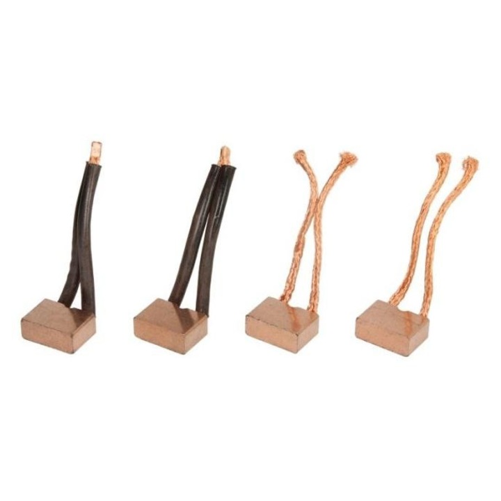 Perii electromotor Renault CQ CQ2040151