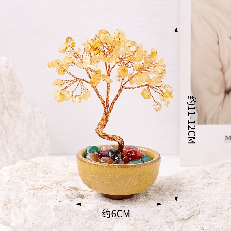 ginseng bonsai dünger Chinesische Feige 'Ficus Ginseng Bonsai' main image 1