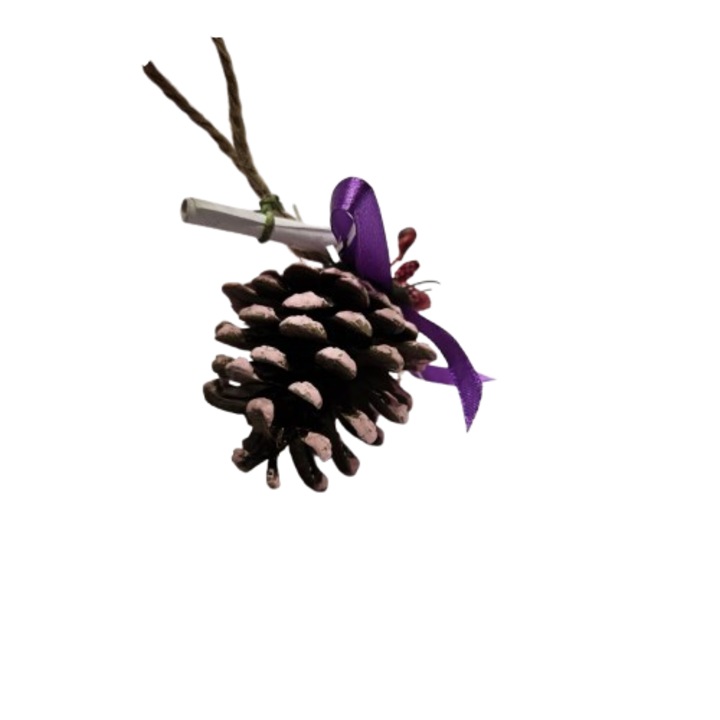 Amulete de Crăciun, Con de brad, Realizat manual, Materiale naturale