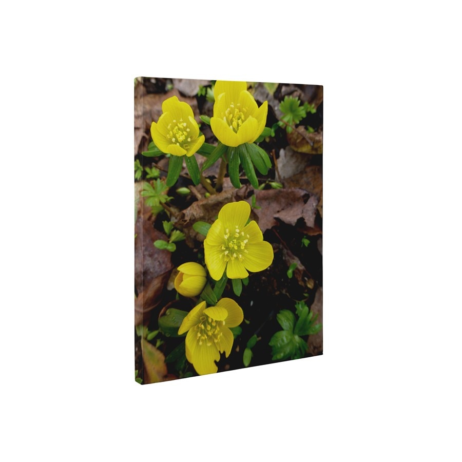 Flori marunte galbene - Tablou Canvas - 30x40 cm