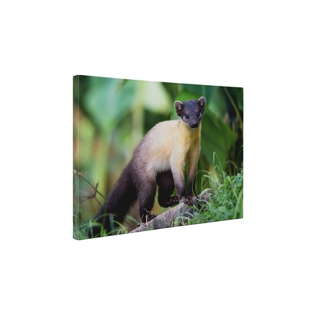 Jderul Cu Gatul Galben Tablou Canvas 15x20 Cm Emag Ro