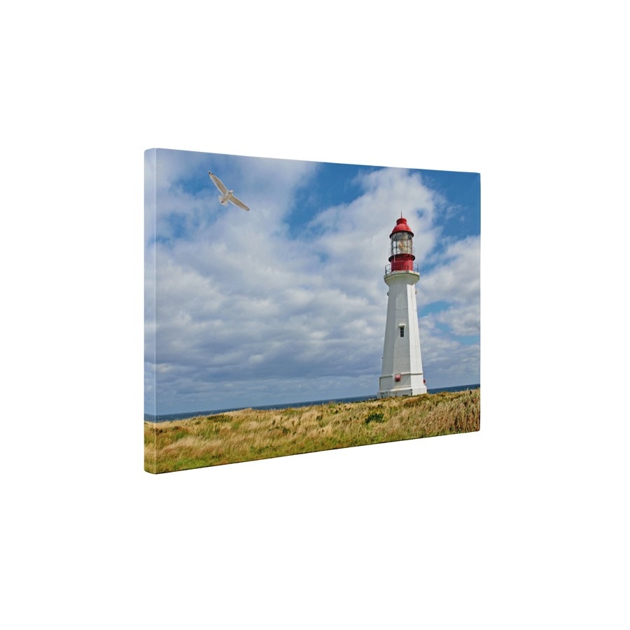 Farul si pescarusul - Tablou Canvas - 60x75 cm