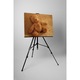 Ursulet de plus - Tablou Canvas - 60x80 cm