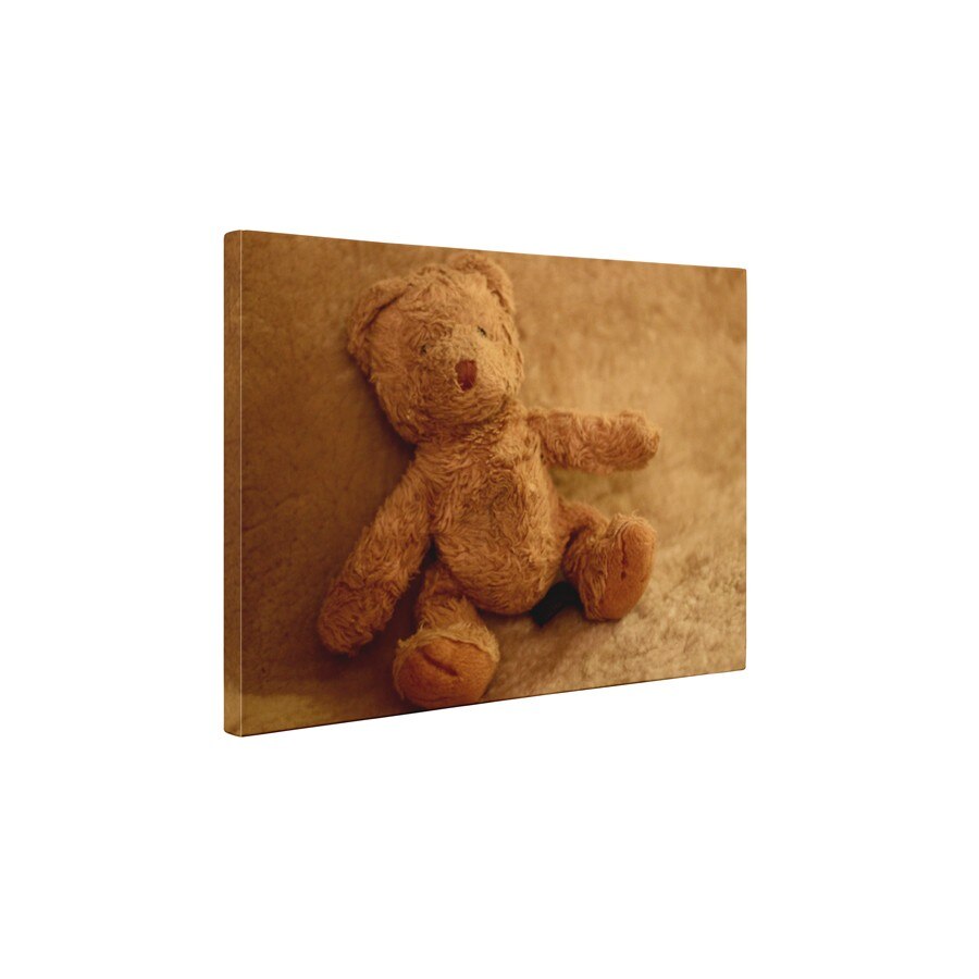 Ursulet de plus - Tablou Canvas - 60x80 cm
