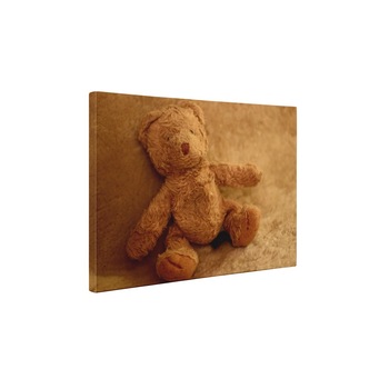 Ursulet de plus - Tablou Canvas - 35x45 cm Ursulet de plus - Tablou Canvas - 35x45 cm