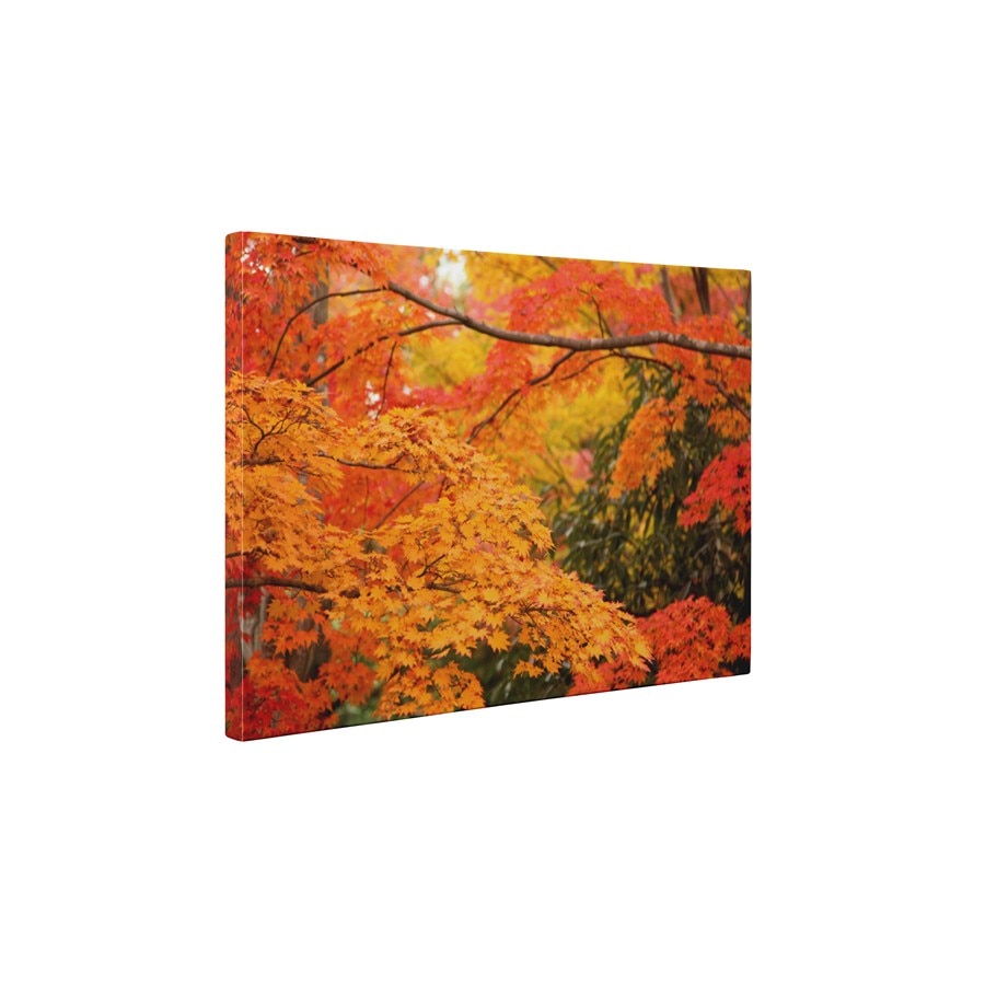 Frunzele toamnei - Tablou Canvas - 45x60 cm