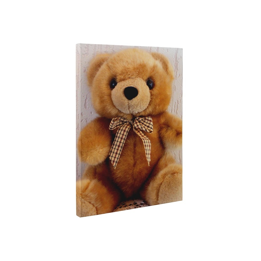 Ursulet - Tablou Canvas - 45x60 cm