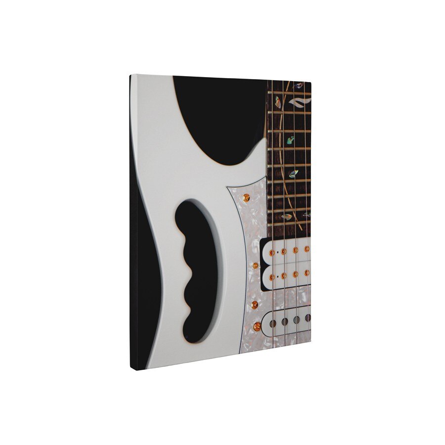 Chitara alba - Tablou Canvas - 60x80 cm